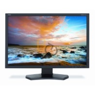 Monitor NEC MultiSync P242W