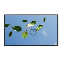 Monitor NEC MultiSync V552