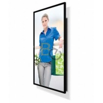 Monitor NEC MultiSync X462S