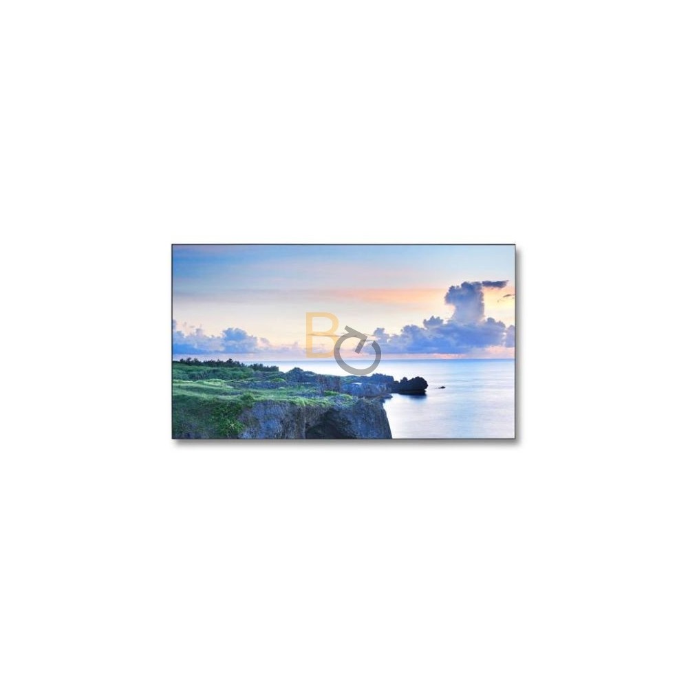 Monitor NEC MultiSync X462UNV