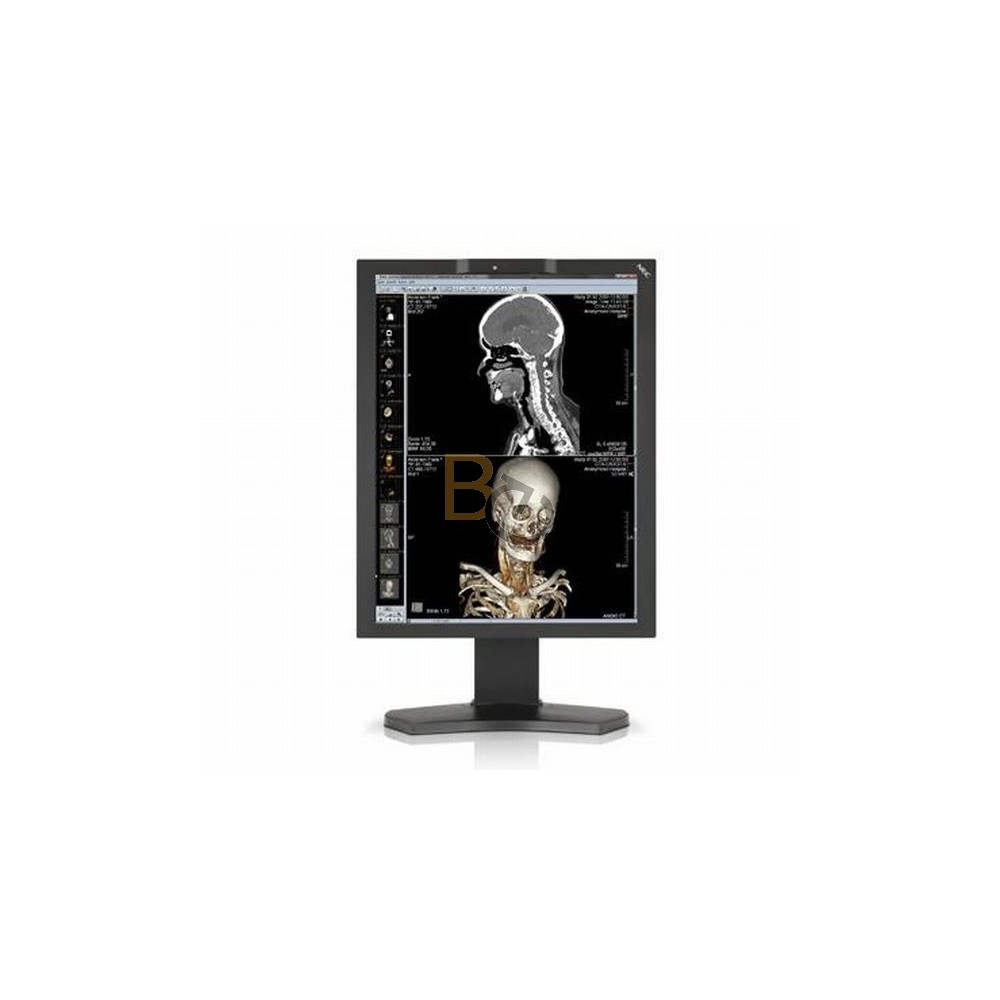 Monitor NEC MD211C2