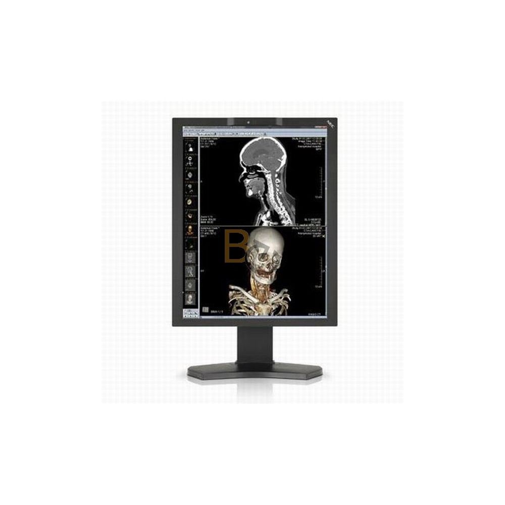 Monitor NEC MD211C3