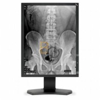 Monitor NEC MD211G3