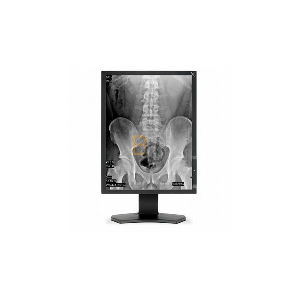 Monitor NEC MD211G3