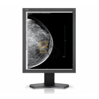 Monitor NEC MD211G5