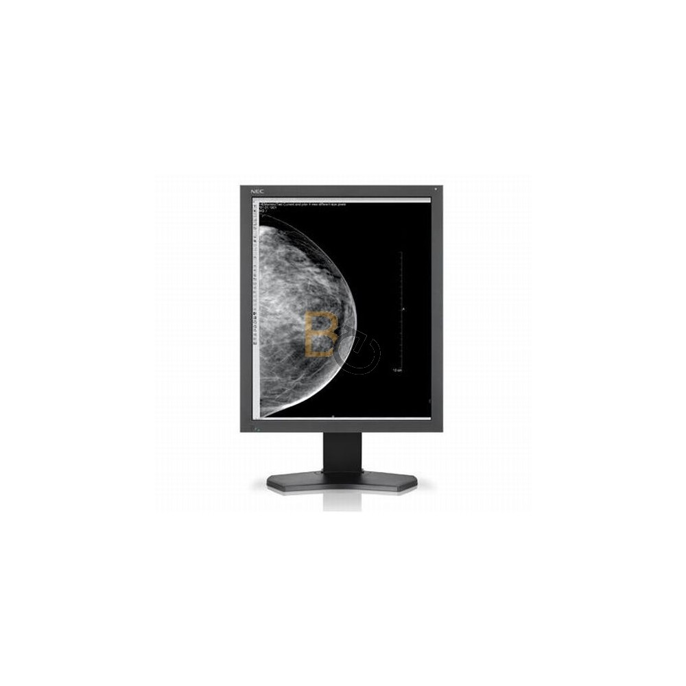 Monitor NEC MD211G5