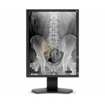 Monitor NEC MD211G5