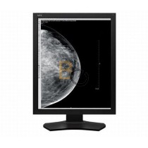 Monitor NEC MD215MG