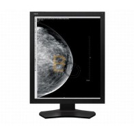 Monitor NEC MD215MG