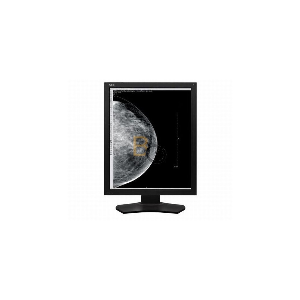 Monitor NEC MD215MG