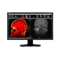 Monitor NEC MDview 243