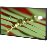 Monitor Sony FWD-42B2