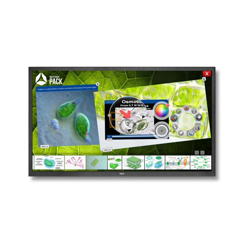 Monitor interaktywny NEC MultiSync V552-TM (Infrared Touch)