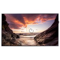 Monitor Samsung PM49F 49"