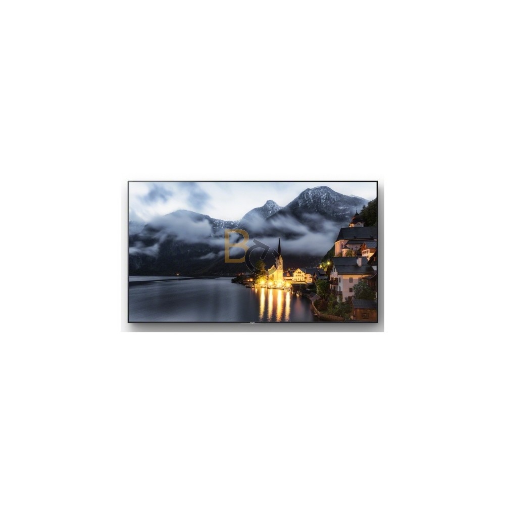 Monitor Sony FW-65XE9001