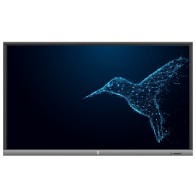 Monitor interaktywny Avtek TouchScreen 5 Lite 55"