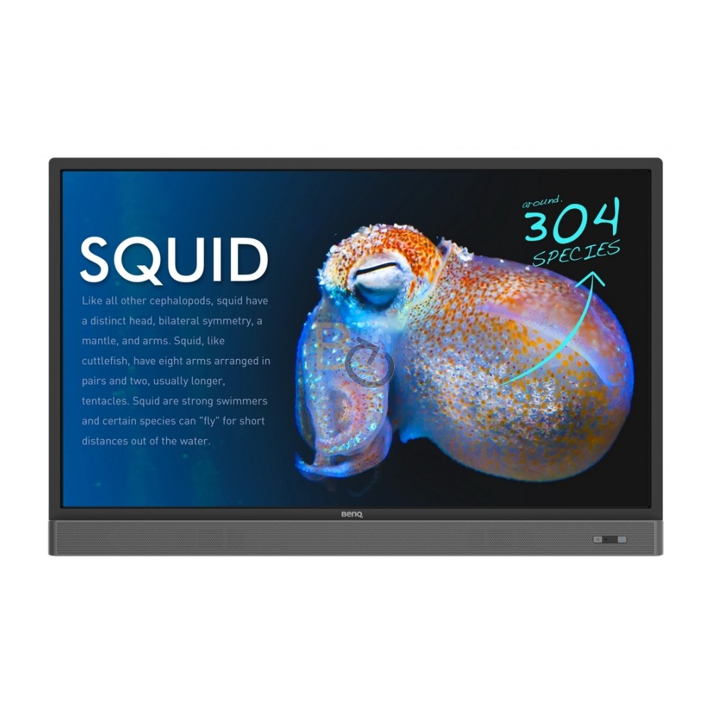Monitor interaktywny BenQ RP653K 65"