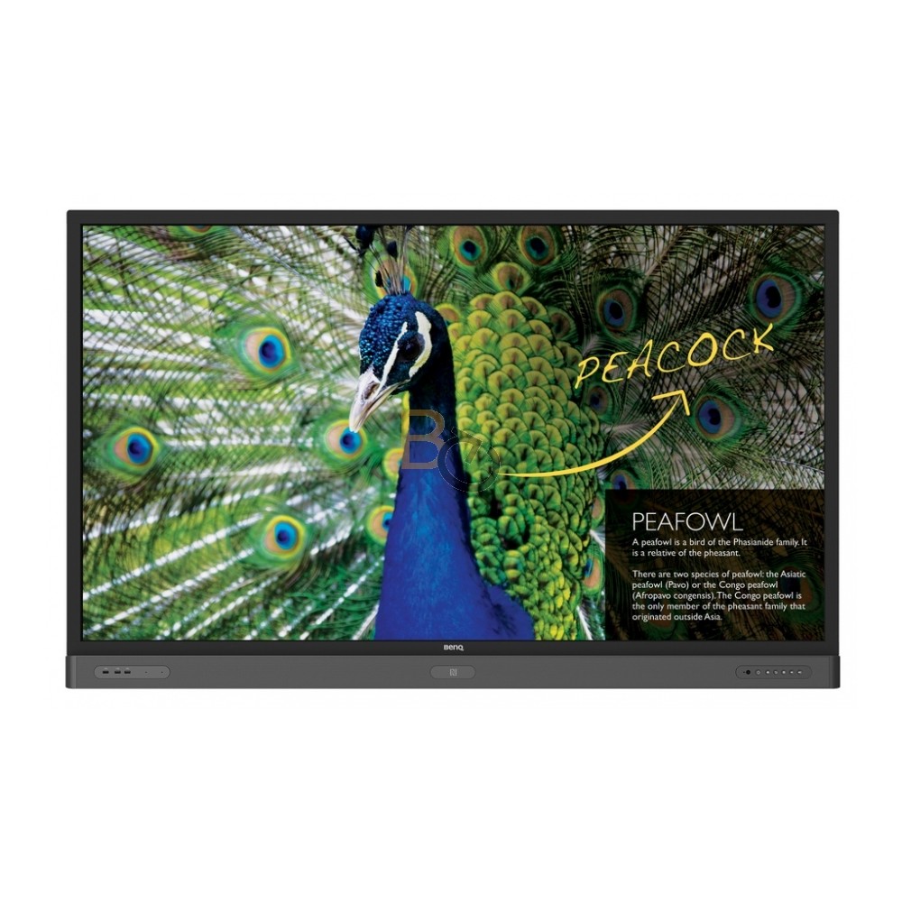 Monitor interaktywny BenQ RP750K 4K UHD 75"