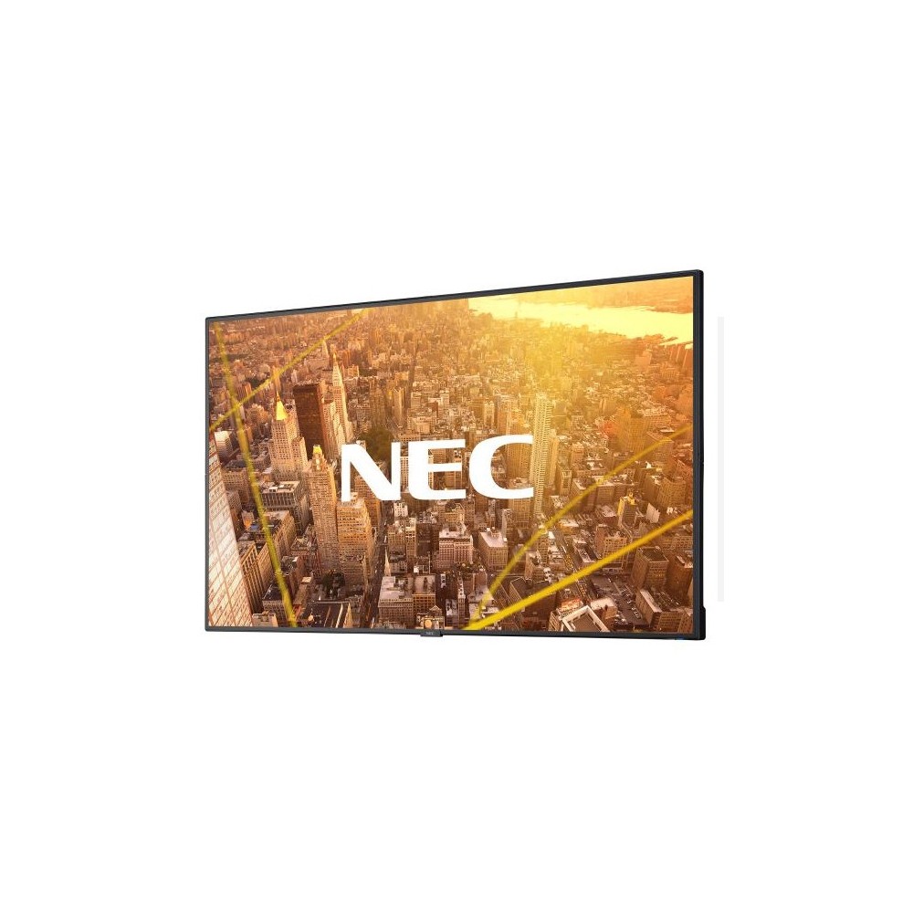 Monitor NEC MultiSync C501