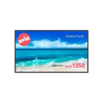 Monitor NEC MultiSync V554 PG (Protective Glass)
