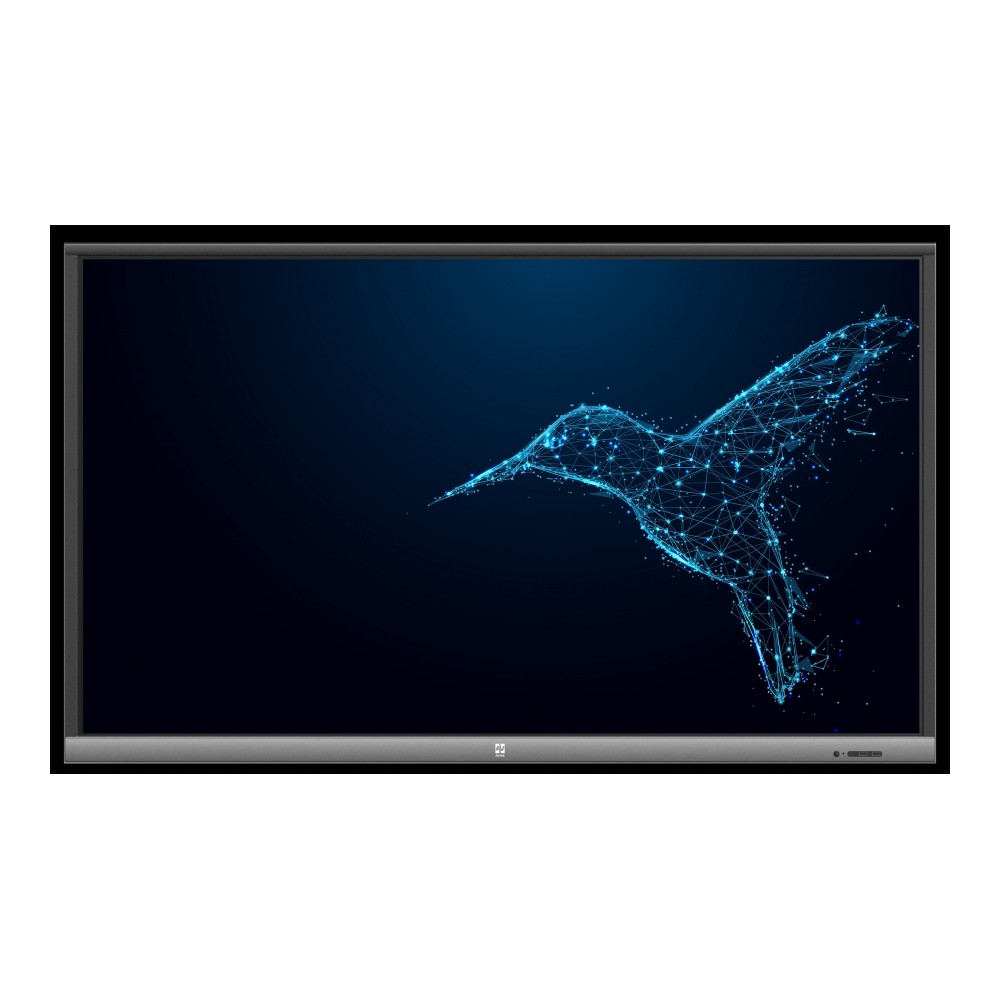 Monitor interaktywny Avtek TouchScreen 5 Lite 65"
