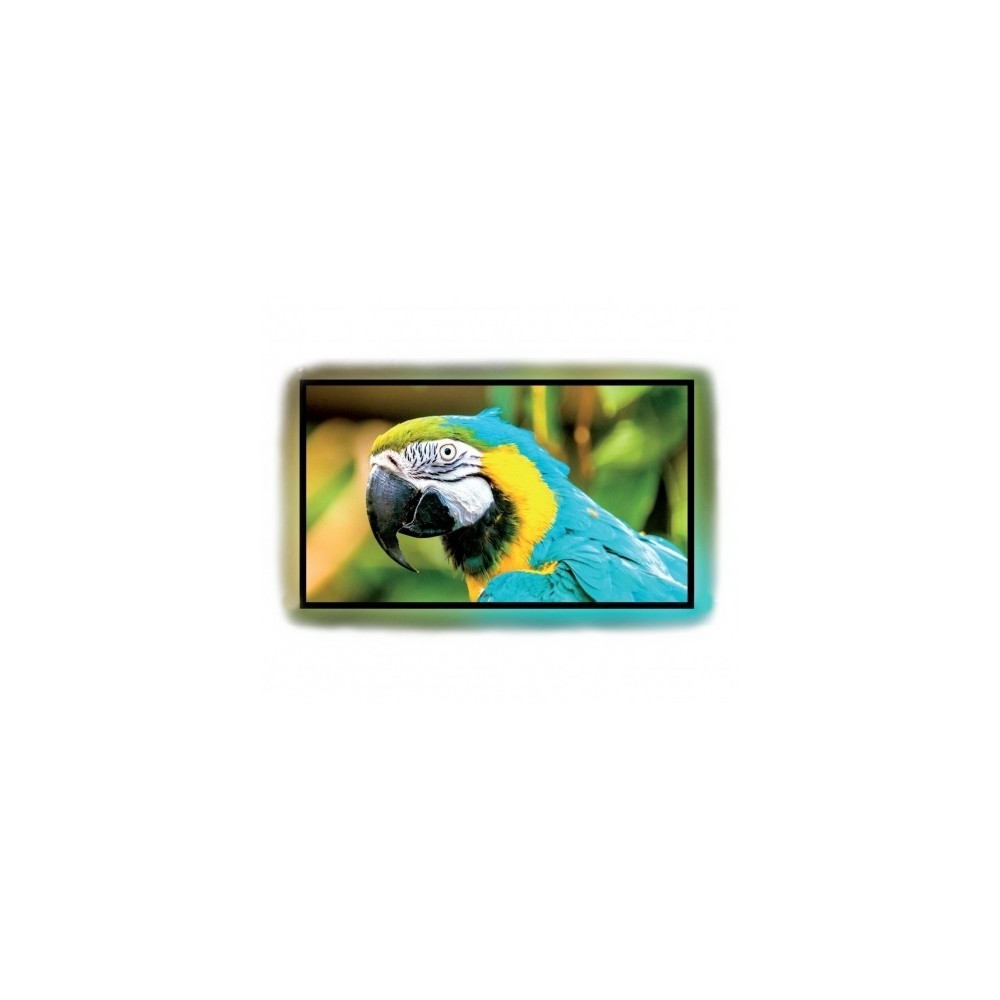 Ekran ramowy Kauber Frame LED Active 180x77 cm (2.35:1)