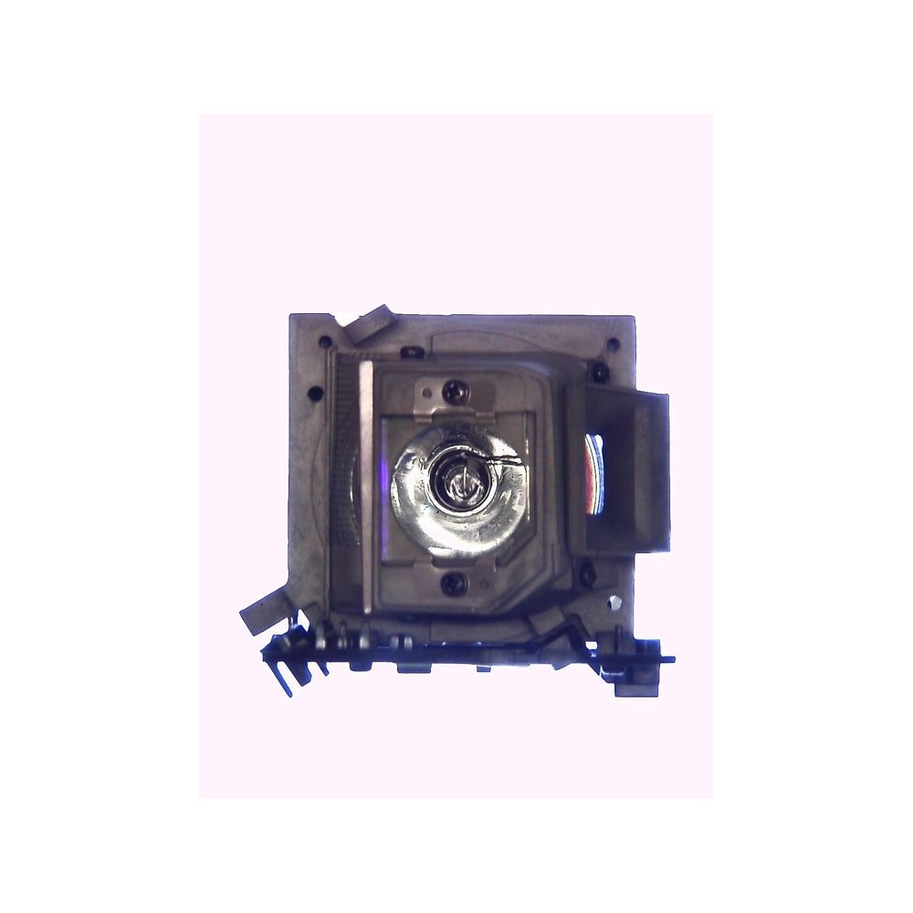 Lampa do projektora ACER QNX0011 EC.JBG00.001