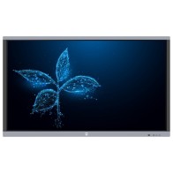 Monitor interaktywny Avtek TouchScreen 5 Connect+ 75"