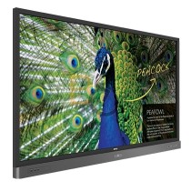 Monitor interaktywny BenQ RP7501K 4K UHD 75"