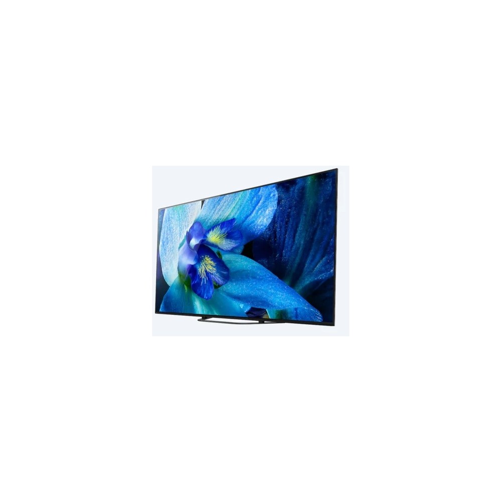 Monitor Sony FWD-55A8G/T