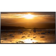Monitor Sony FWD-77A1