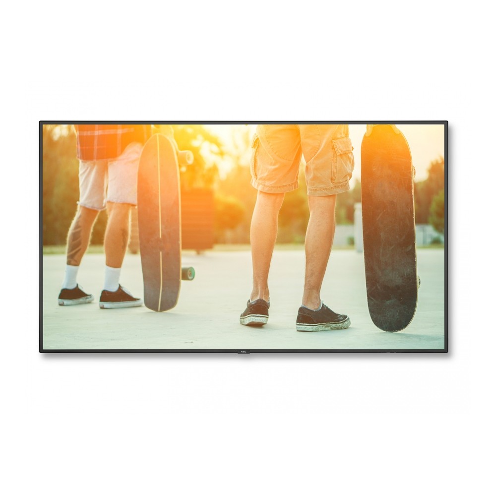 Monitor NEC MultiSync V984Q