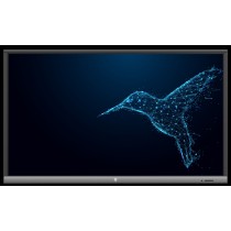 Monitor interaktywny Avtek TouchScreen5 Lite 75"