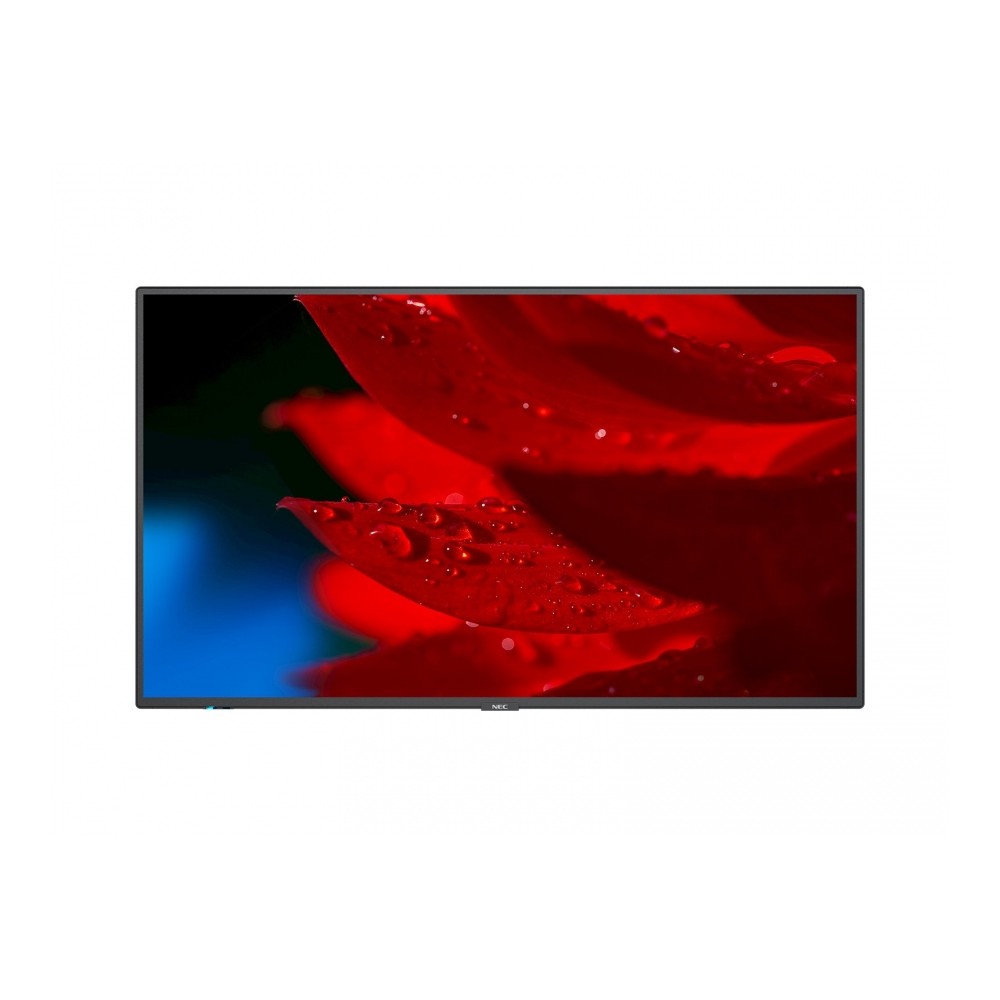 Monitor NEC MultiSync MA491