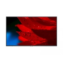 Monitor NEC MultiSync MA551