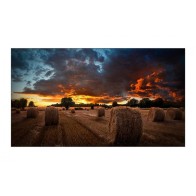 Monitor Samsung VM55T-U