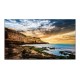 Monitor Samsung QE65T