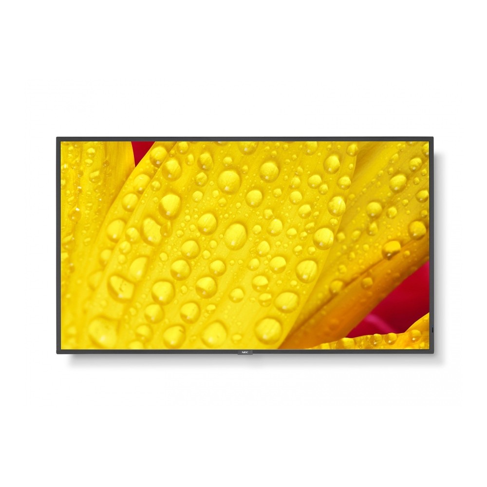 Monitor MultiSync ME431