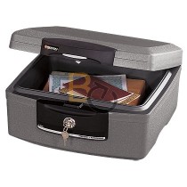 Kasetka SentrySafe H2100