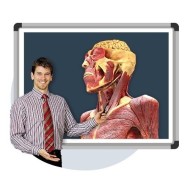 Oprogramowanie CadaVR Professional