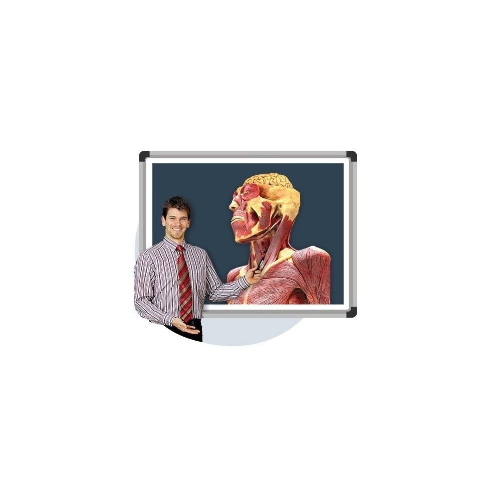 Oprogramowanie CadaVR Professional