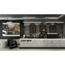 Projektor Optoma ZU500USTe