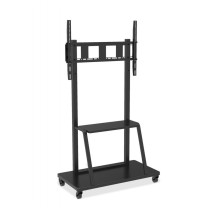 Techly mobilny stojak do monitora ICA-TR30 55-100 cali