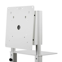 Wózek z obrotową glowicą do ekranu LED/LCD TRF100 | 42'- 55'