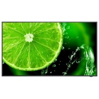 Monitor NEC MultiSync E498 49 cali