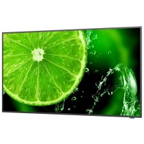 Monitor NEC MultiSync E988 98 cali