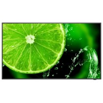 Monitor NEC MultiSync E988 98 cali