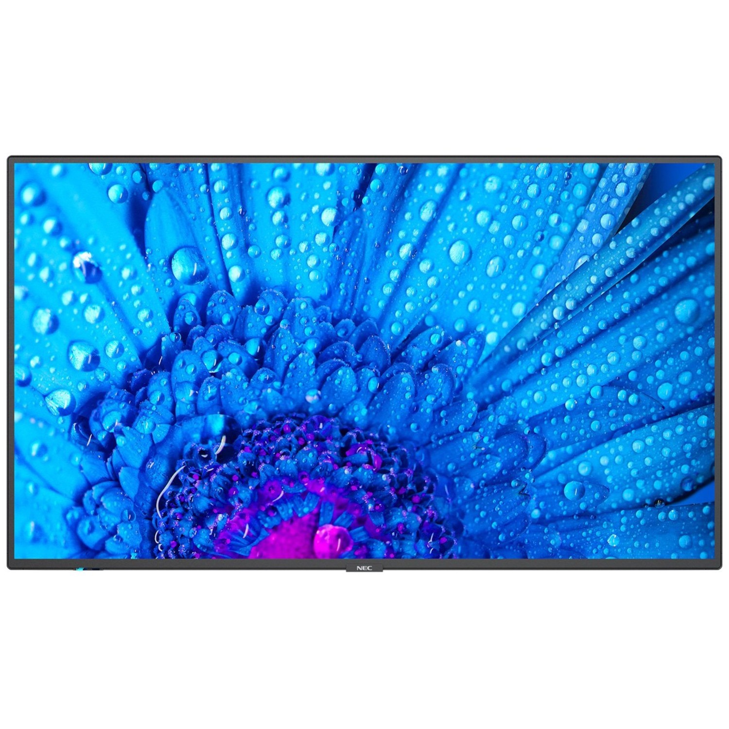Monitor NEC MultiSync M861 86 cali