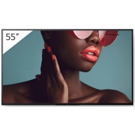 Monitor Sony FW-55BZ40L 55 cali
