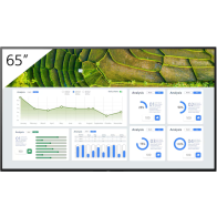 Monitor Sony FW-65BZ30L 65 cali